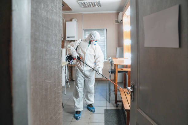 Best Real Estate Mold Inspection  in Harbour Heights, FL