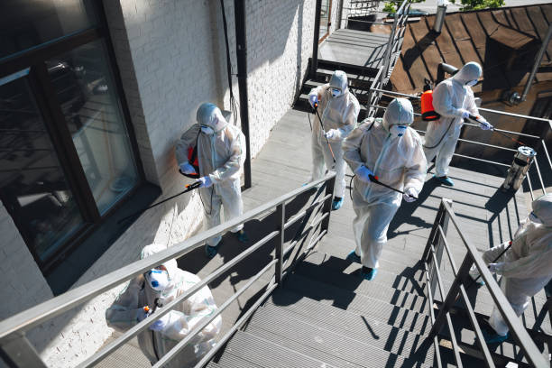 Best Biohazard Mold Removal  in Harbour Heights, FL